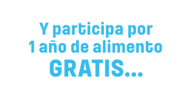 participa
